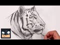 How to draw white tiger  sketch tutorial