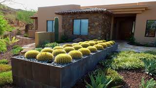 Home Cactus Garden Design Ideas - Nadin Decor