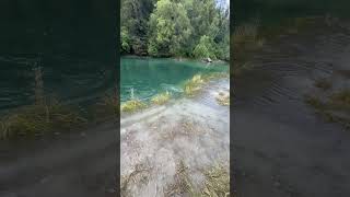 IMG 9103