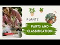 Parts of plants and their classification | SCIENCE FOR KIDS