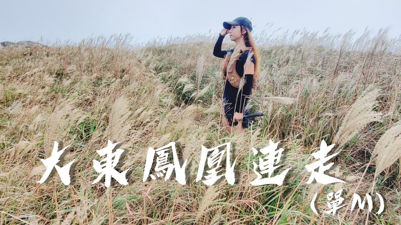 上山修行 |大東鳳凰連走 |單M |芒草季節 |大東山 |鳳凰山 | Kimmy山上媚步