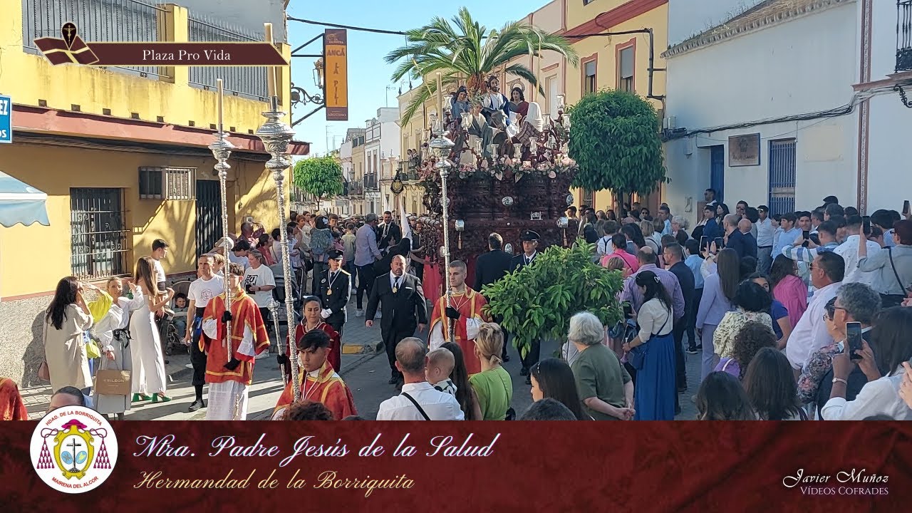 Ntro. Padre Jesús de la Salud | Plaza Pro Vida | Hdad. Borriquita Mairena del Alcor 2023 - [4k]