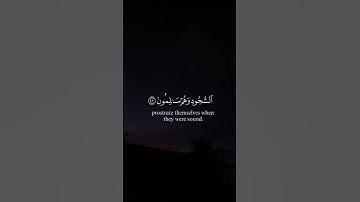 تلاوة تقشعر لها الأبدان بصوت الشيخ ماهر المعيقلي ارح سمعك🖤 #قران_كريم #راحة_نفسية