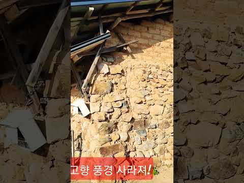 세월 속에 사라져 가는퐁경.