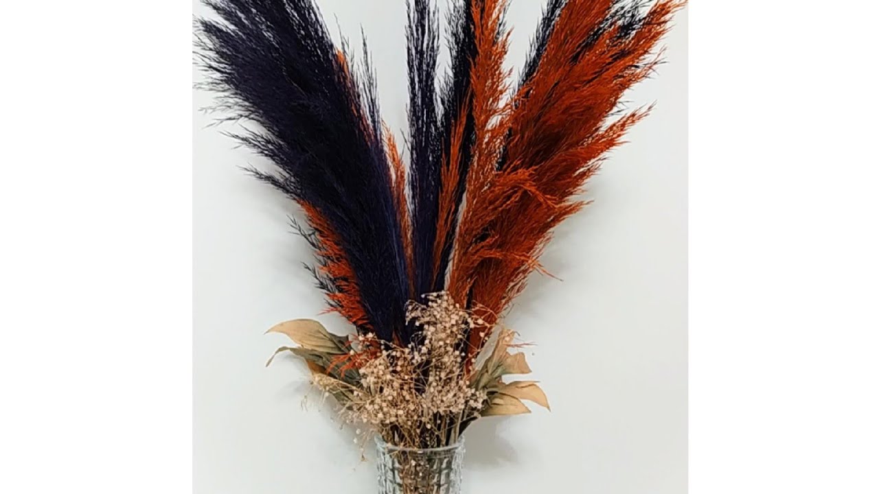 Pampas Otunun Dökülmemesi İçin Ne Yapmalıyız? | Pampas Otunun Boyunu