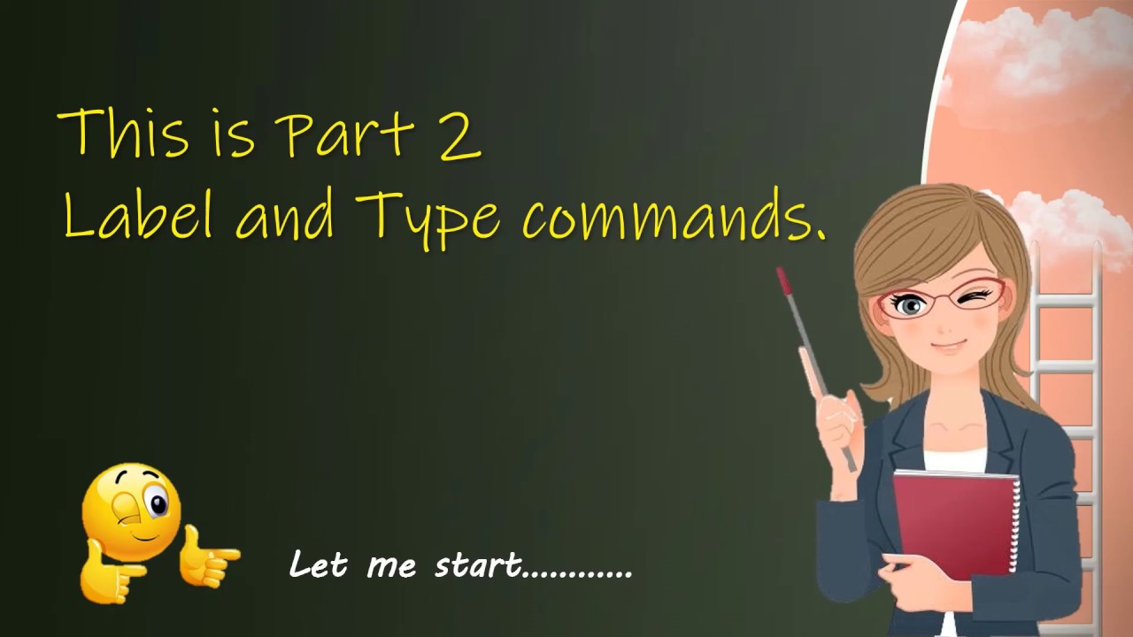 Label and Type Commands