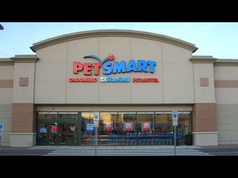 PE Purchases PetSmart, NBC Ups Streaming & Dish Taps Netflix App