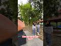 Teteh enah masuk buah kelapa #trendingshorts #trending