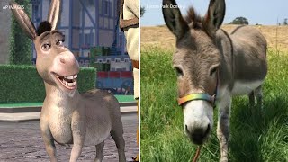 Perry, Real-Life Donkey Who Inspired Iconic Shrek Character, Dies At 30