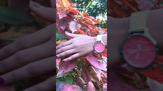 Sneharth First Video Edit By Hac Photography