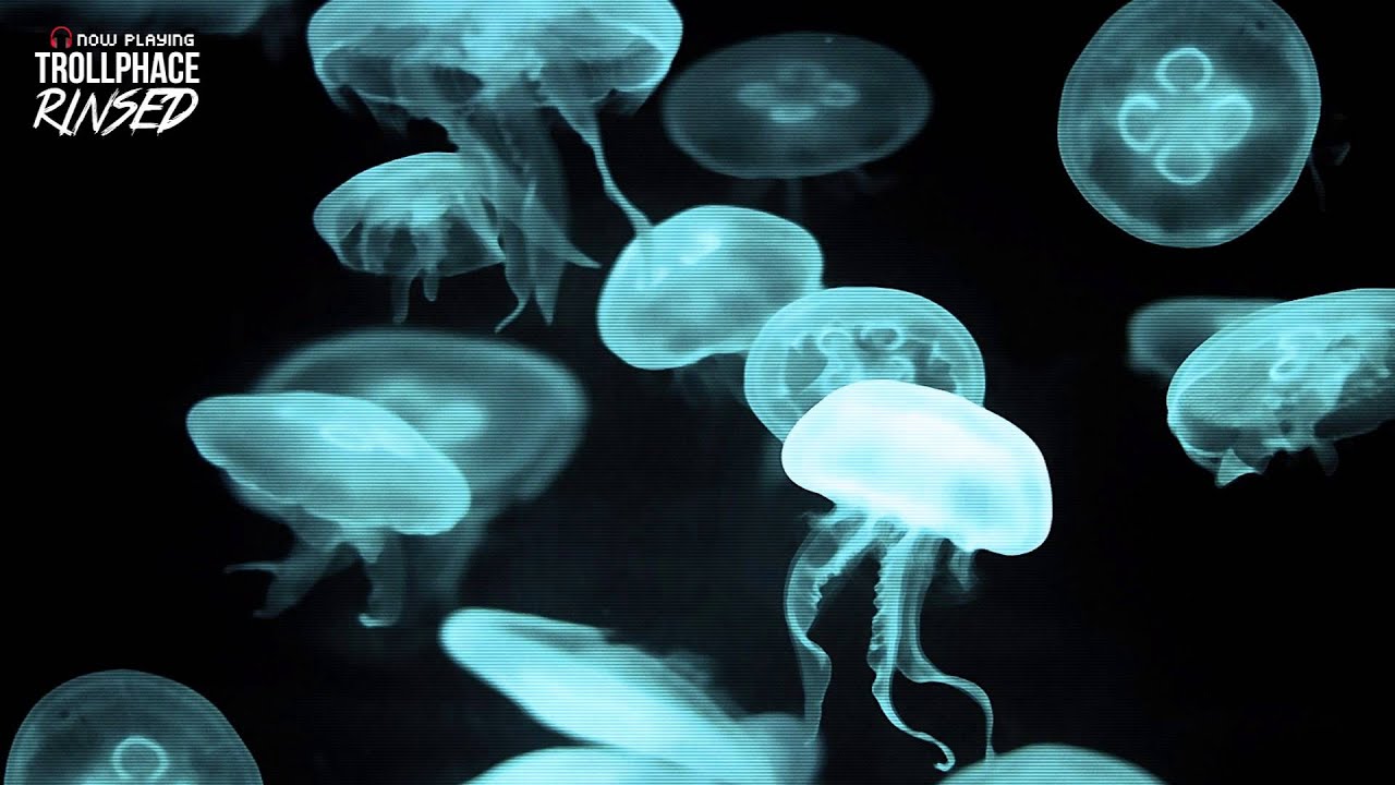 [Dubstep] TrollPhace - Rinsed