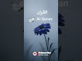 Quran ki Hindi tarjuma 🖤🖤#shortsvideo #trustonallah #islamicstoriesinurduandhindi #trustonallah