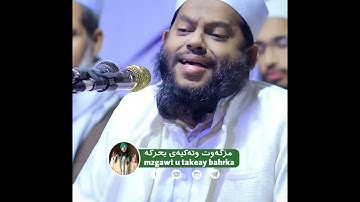 القارئ سعيد اسلام اجمل تلاوة القران #القران_الكريم #القرآن_الكريم #القران #القرآن