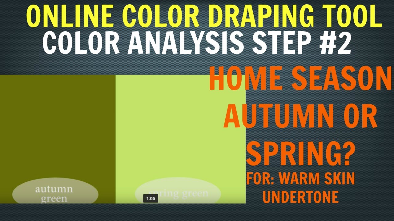 Online Color Analysis Test Self Color Analysis Step 2 Are You