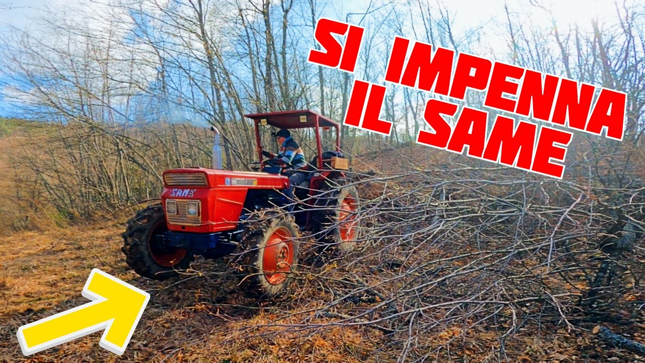 CAMBIAMO APPEZZAMENTO! | Ancora LEGNA con il SAME MINITAURO!