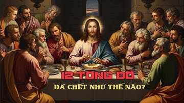 12 Tông Đồ: Những Cái Chết Bi Tráng Ít Ai Biết Đến