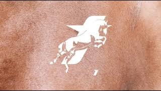 Manifest - Durma X Motive - isteyerek sevişmek