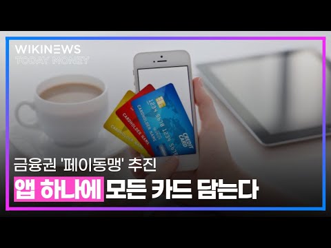 금융권 &amp;#39;페이동맹&amp;#39; 추진 앱 하나에 모든 카드 담는다