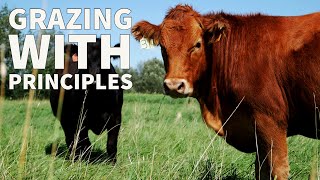 Grazing with Principles