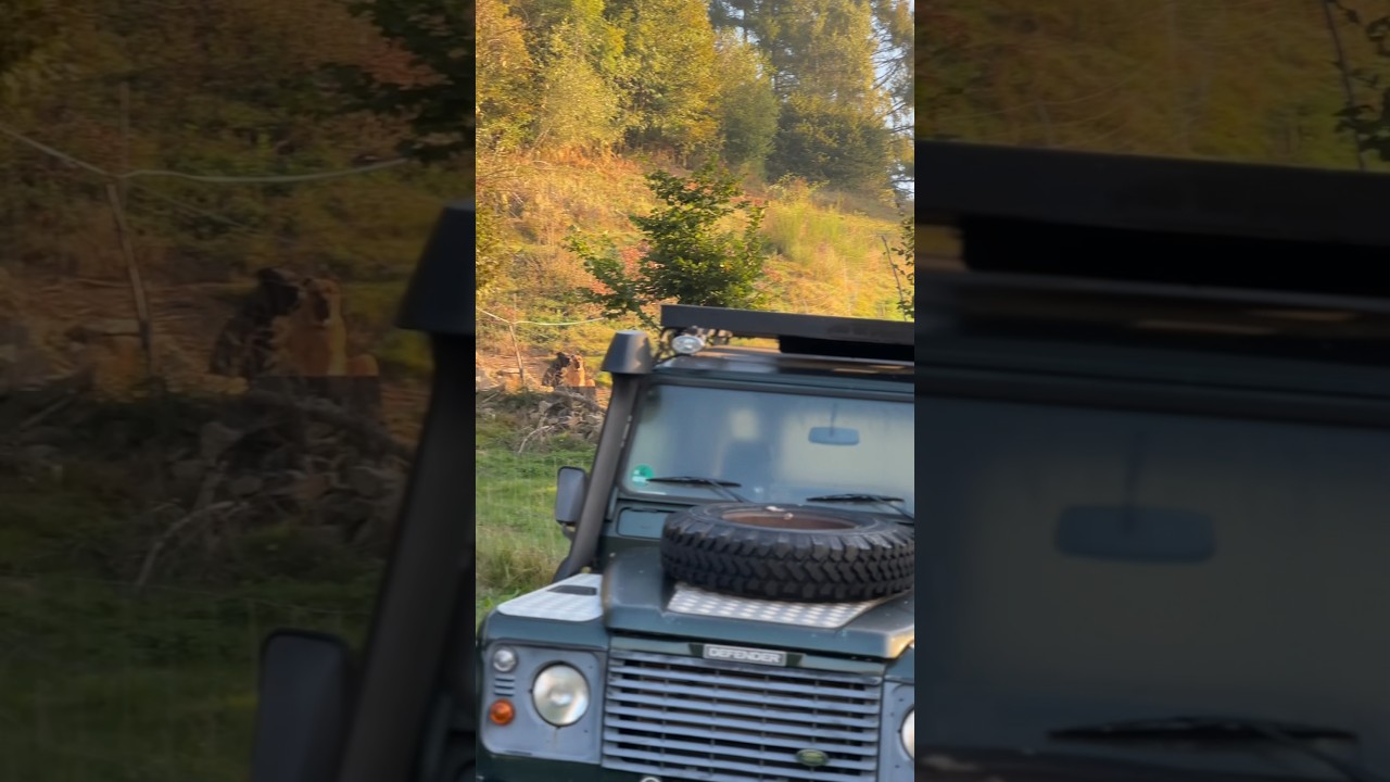 Almtagebuch der letzte Tag 