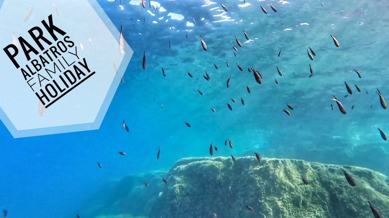 Park Albatros - family holiday 2025