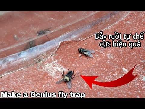 Video Cách chế 1 chiếc bẫy ruồi cực kì hiệu quả - youtube