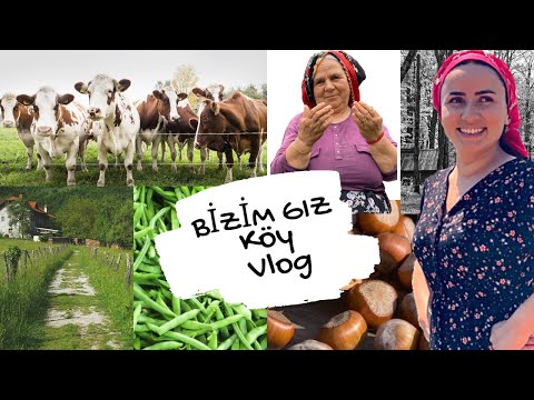 Köy vlog.🏡