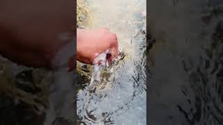 💙 Hands Water Sounds | Peaceful Water ASMR for Deep Sleep, Focus & Relaxation