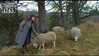 Our Scottish Highland Life: Restoring a 1743 farmhouse in a remote wooded glen