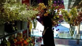 Edmond's Plaza Florist