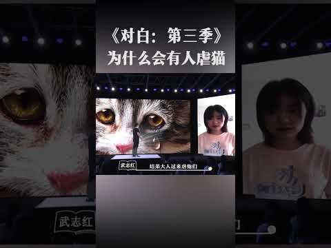 #动物 的生命也是生命，希望早点将这类人绳之以法！#萌宠 #生活 #猫  | 对白 第三季 | 优酷纪实人文 YOUKU DOCUMENTARY #shorts