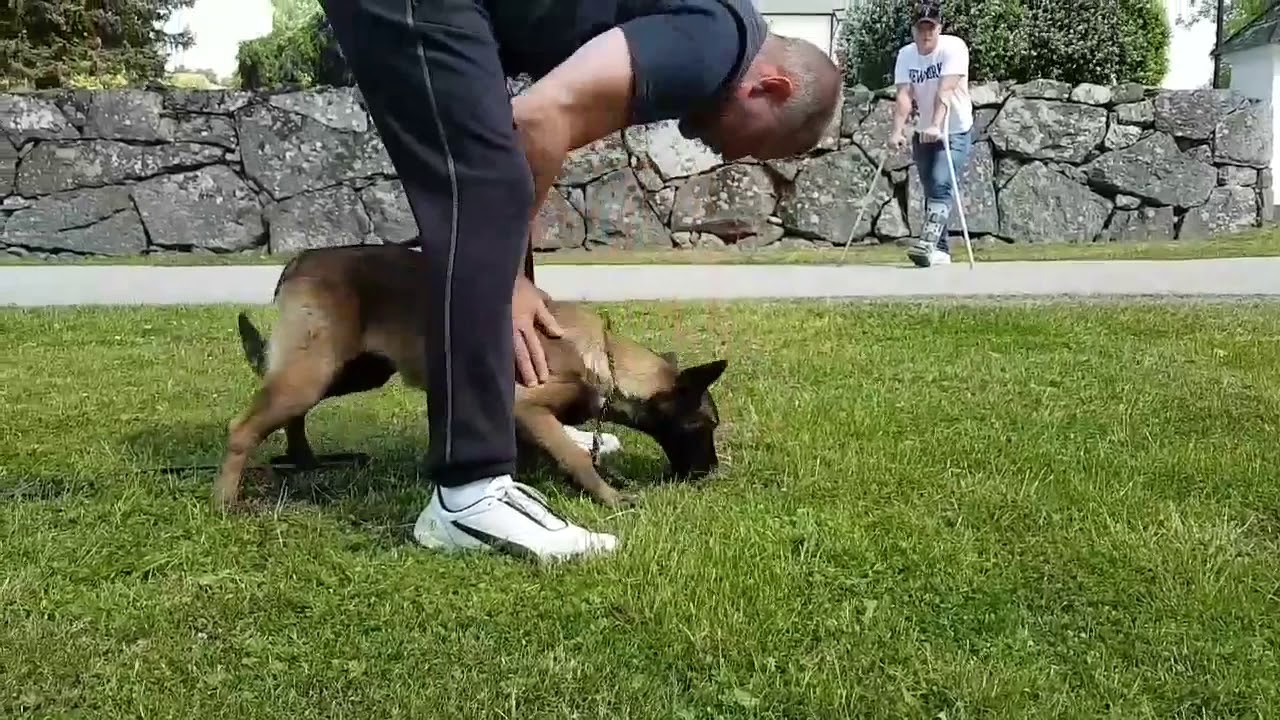 Blackneck’s C’Ultra