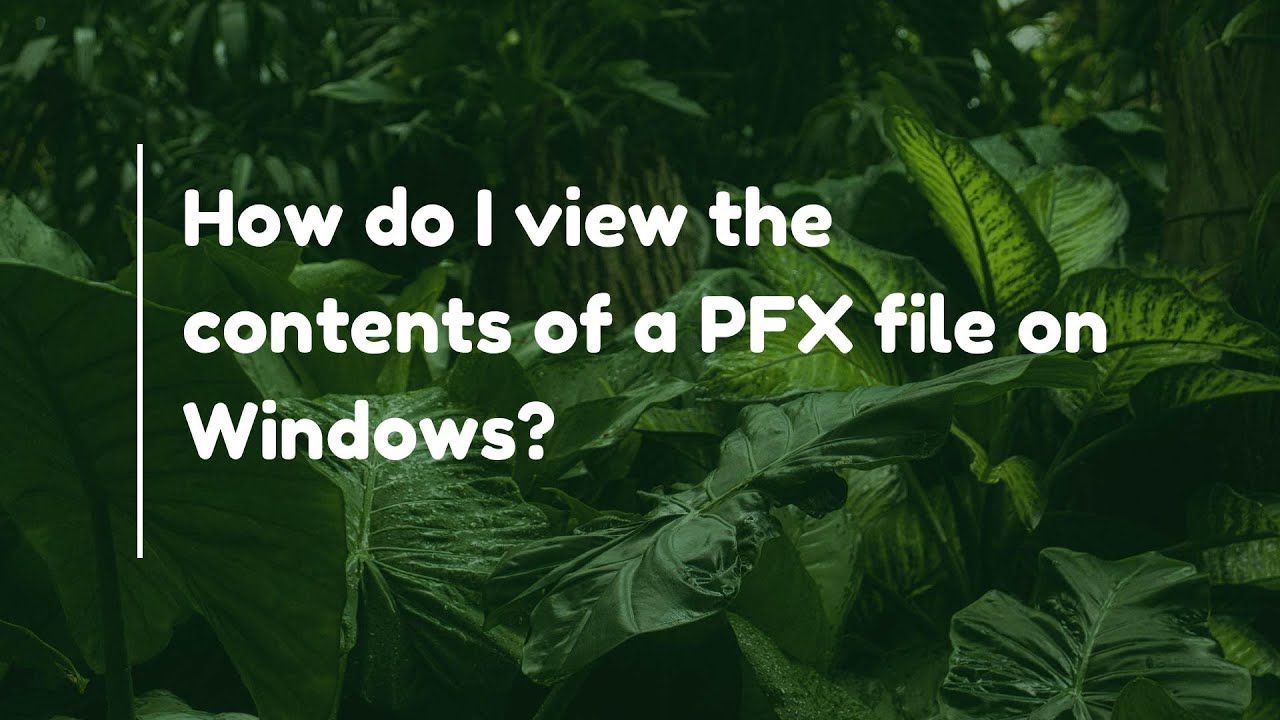 How do I view the contents of a PFX file on Windows? - YouTube