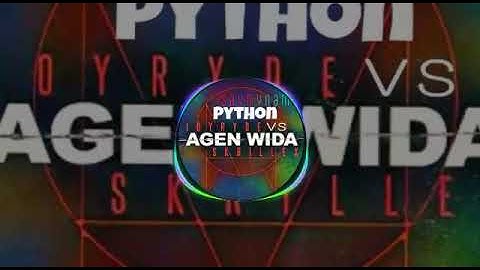 Python vs Agen Vida (saymyname x dotcom x skrillex x joyryde