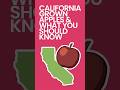 California Grown Apples & What You Should Know #AppleFarming