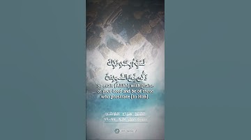 سورة الحجر الآيات من ٩٧ - ٩٩ القارئ هزاع البلوشي