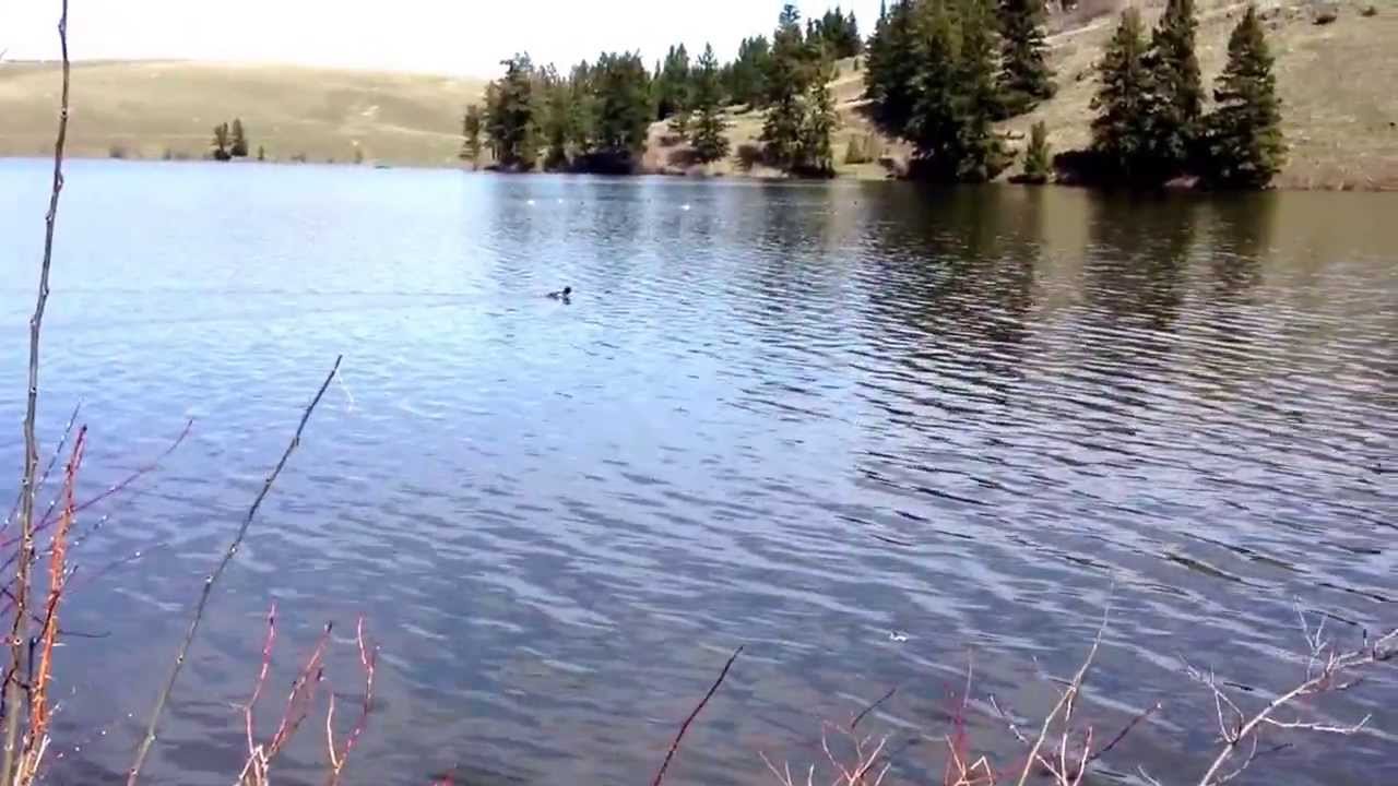 Fishing at Edith Lake, Kamloops, BC YouTube