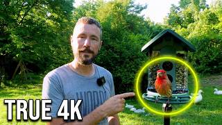 Kiwibit Bird Feeder 2 Review
