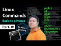 Essential Linux Commands for Beginners 🖥️