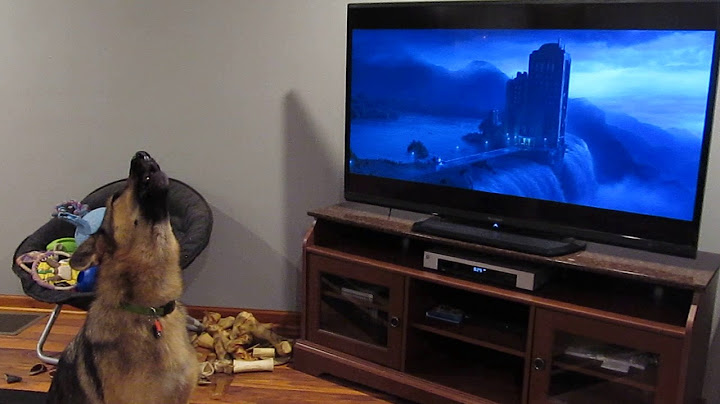 German shepherd howling with wolves from Zootopia♥