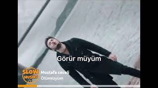 Mustafa Ceceli - Ölümlüyüm Resimi