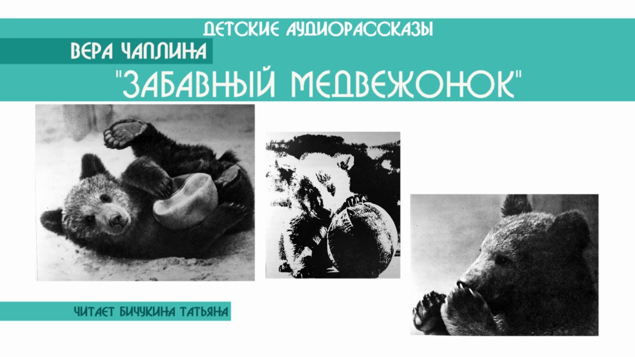 Вера Чаплина "Забавный медвежонок" - детский аудиорассказ: слушать ...