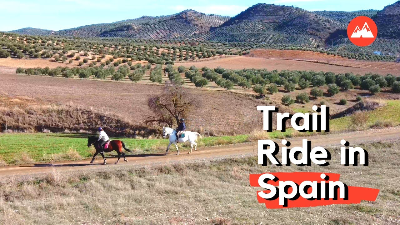 Spain: Horseback Riding near Granada