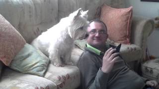 RORY THE SINGING WESTIE