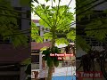 #youtubeshorts #music #melody #youtuber #instagram #instareels #shorts #short #shortvideo #telugu