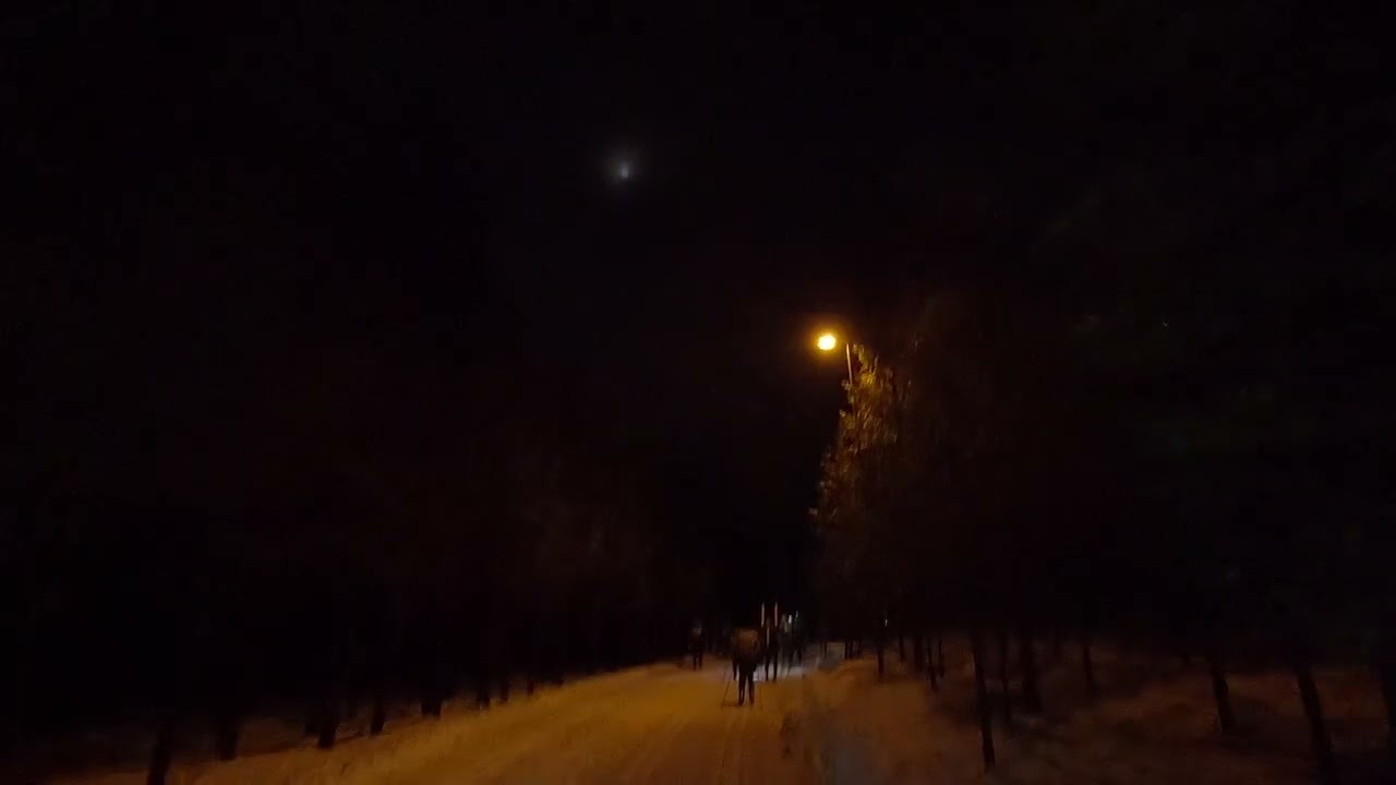 Vasaloppet 2026 (9.0)