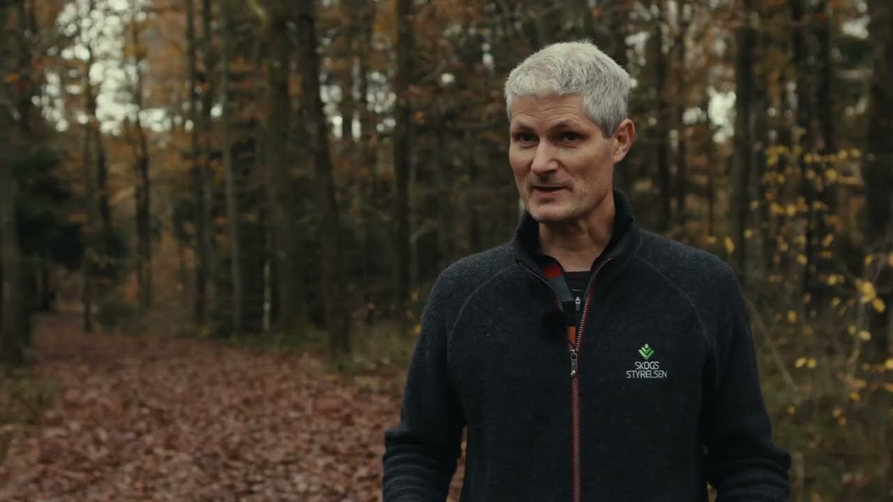 Skogsstyrelsens syn på hyggesfritt skogbsruk