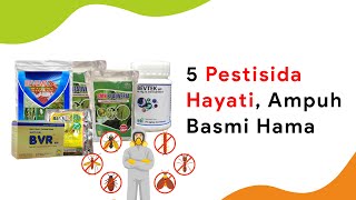 5 Pestisida Agen Hayati Beauveria Bassiana