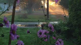 Psalm 1: Devotional Study (GPHE) Psalm 1: Devotional Study (GPHE)