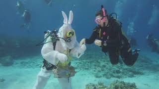 Scuba-Diving Easter Bunny Stages Underwater Egg Hunt Off Florida Keys